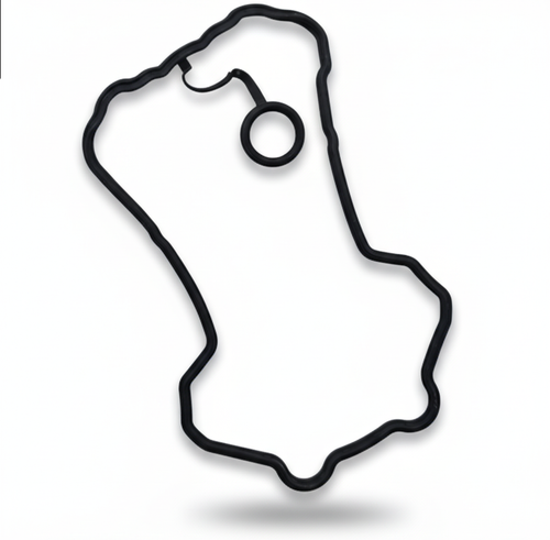 Royal Enfield Himalayan / Guerilla 450: Motordichtungen